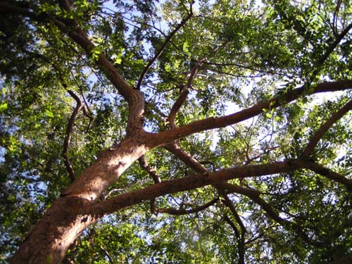 contents�`�y�[�W���e